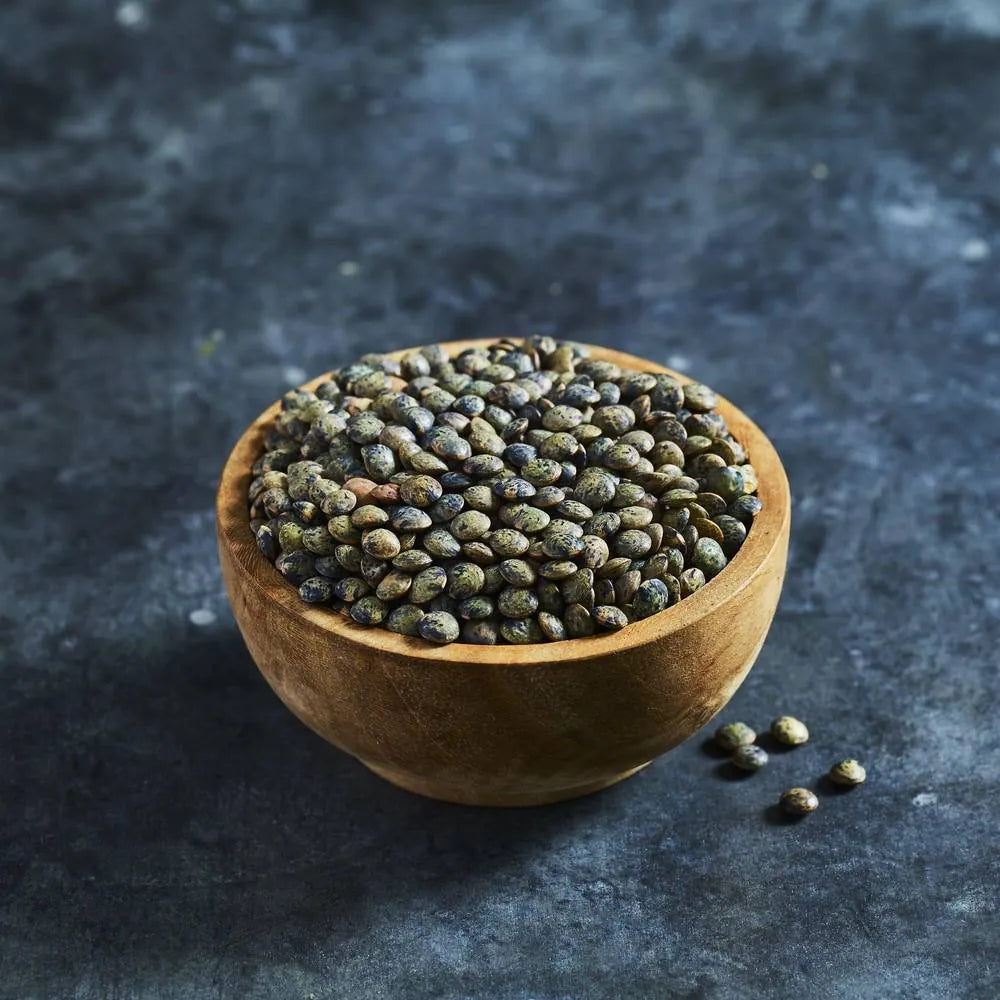 French green lentil seeds for sprouting
