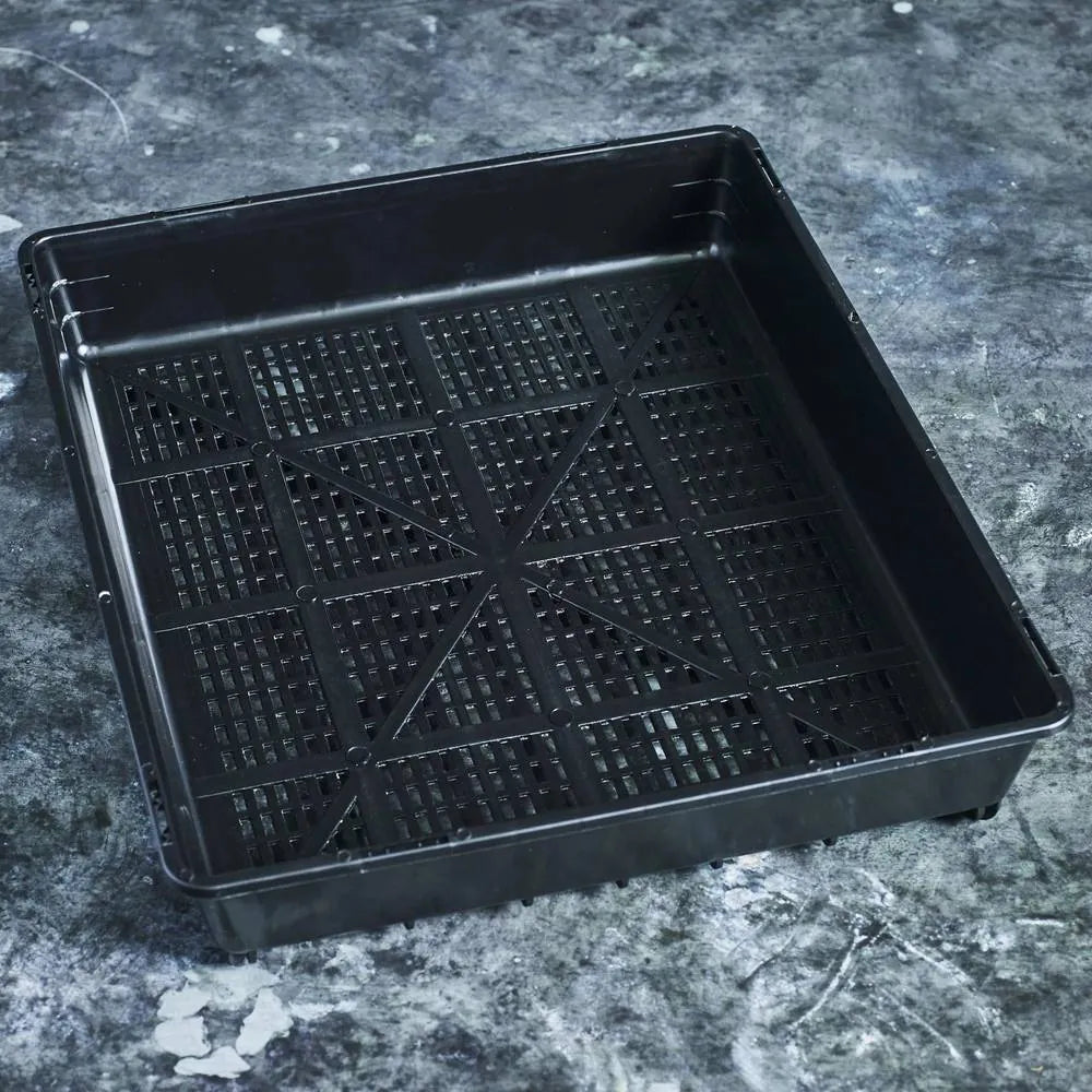 33 × 28cm grow tray for microgreens and wheatgrass
