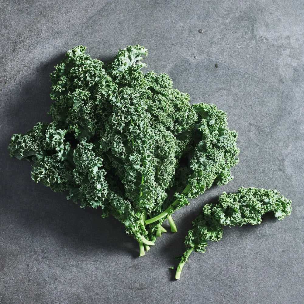 Mature red Russian kale leaves with frilled green foliage