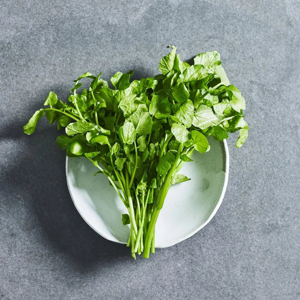 Watercress herb seeds