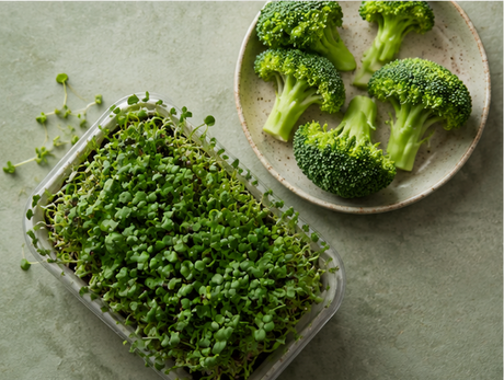 Broccoli Sprouts Benefits: Sulforaphane, Nutrition & Research