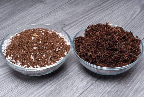 Best Growing Medium for Microgreens: Coco Coir, Seed-Raising Mix & Mats