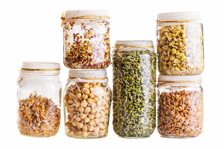 How to Choose Sprouting Seeds in Australia