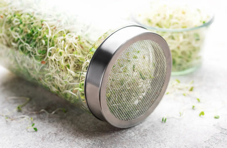 How to Grow Leafy Sprout Mixes in 5 Easy Steps