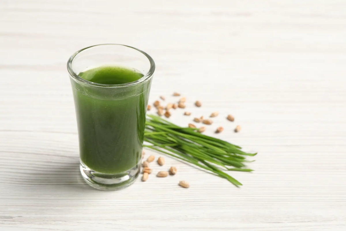 How to Juice Wheatgrass at Home