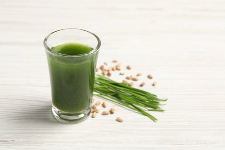 How to Juice Wheatgrass at Home