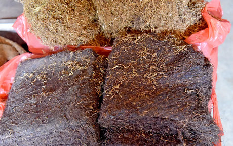 Used microgreen root mat and growing medium removed from a growing tray
