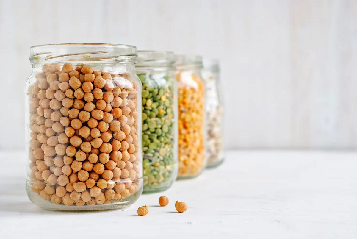 Sprouting Seed Guide: Soak Times, Quantities & Harvest Times