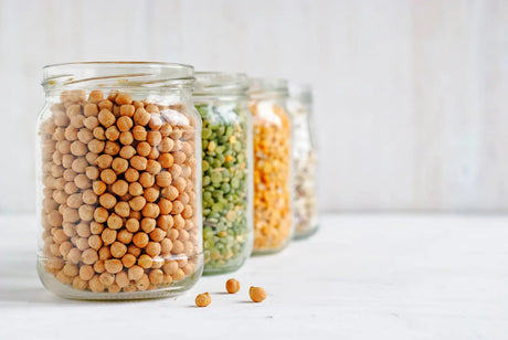 Sprouting Seed Guide: Soak Times, Quantities & Harvest Times