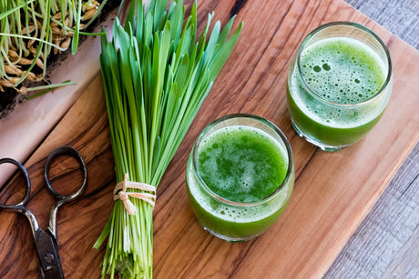 Wheatgrass Health Benefits: Nutrition & What the Research Says
