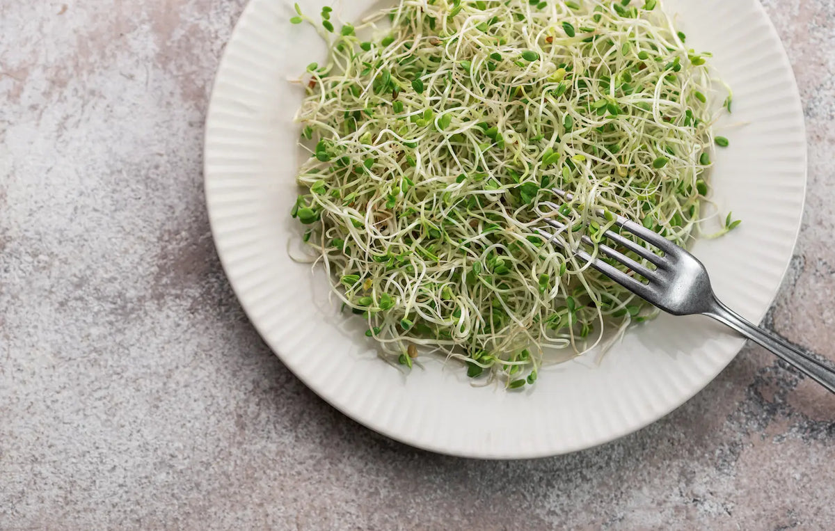 Why Eat Sprouts? Nutrition, Benefits & What Research Says