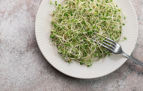 Why Eat Sprouts? Nutrition, Benefits & What Research Says