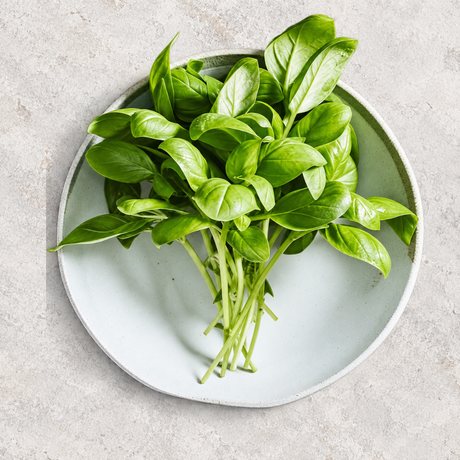 Herb Seeds