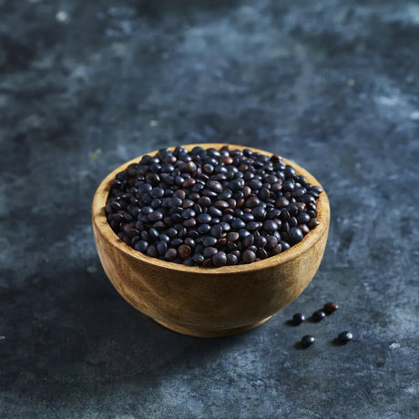 Black Beluga lentil seeds for sprouting