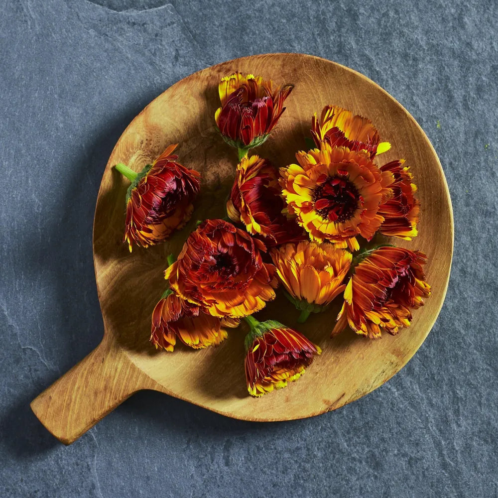 Calendula 'Fiesta Gitana Mix' edible flower seeds