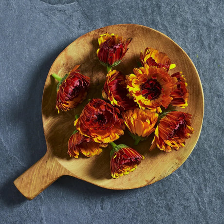Calendula 'Fiesta Gitana Mix' edible flower seeds