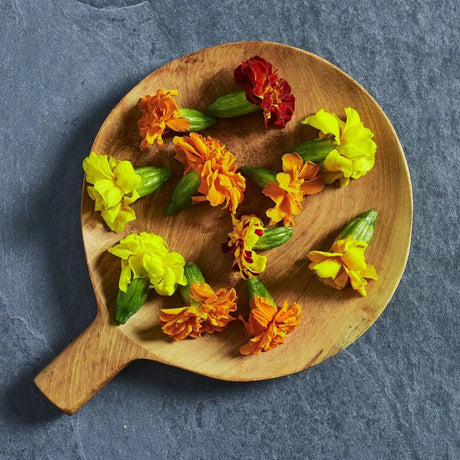 French marigold 'Durango Mix' edible flower seeds
