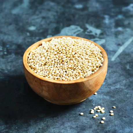 Organic white quinoa seeds for sprouting and cooking