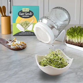 Sprouting starter kit with two glass jars and six seed varieties