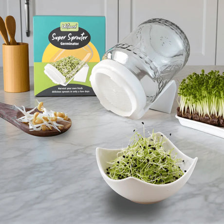 Sprouting starter kit with two glass jars and six seed varieties