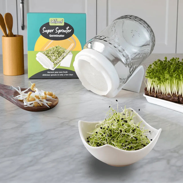 Sprouting starter kit with two glass jars and six seed varieties