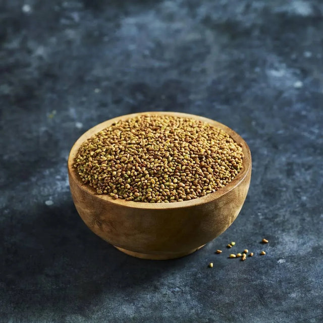 Alfalfa seeds for growing fresh sprouts