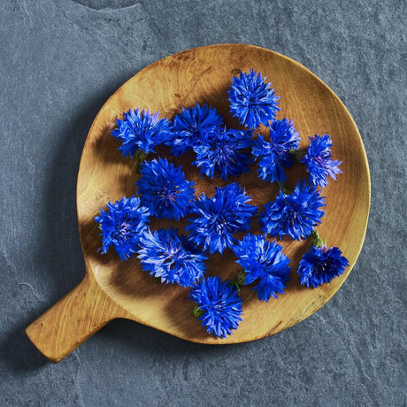 Blue cornflower 'Blue Boy' edible flower seeds