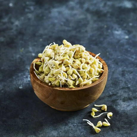 Fresh buckwheat sprouts with tender green leaves