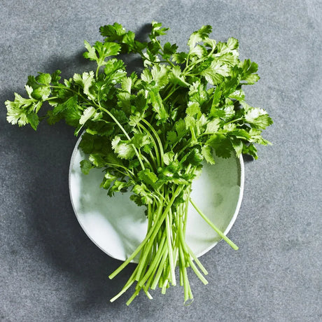Coriander herb seeds