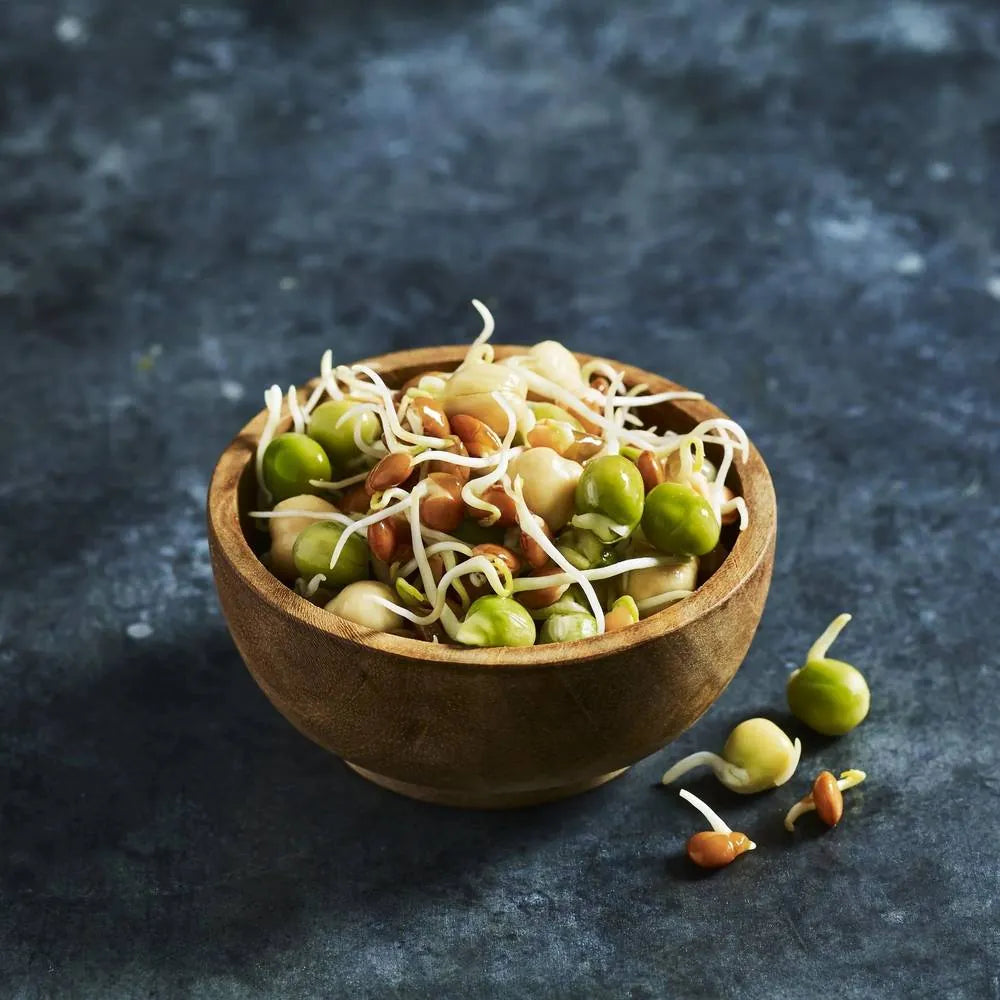 Fresh crunchy sprout mix served in a bowl