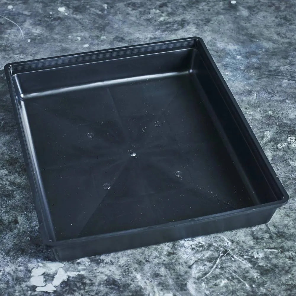 35 × 30cm drip tray for microgreens and wheatgrass