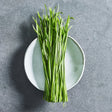 Garlic chive herb seeds