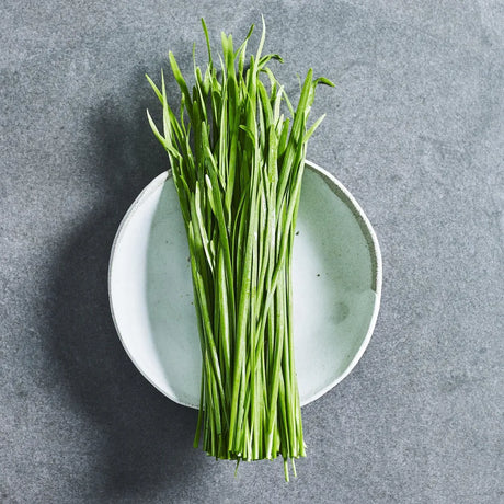 Garlic chive herb seeds