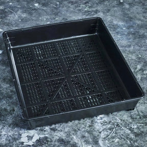 33 × 28cm grow tray for microgreens and wheatgrass