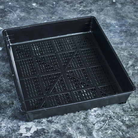 33 × 28cm grow tray for microgreens and wheatgrass