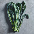 Deep green Tuscan kale leaves grown from seed