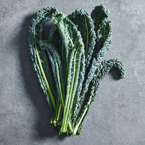 Deep green Tuscan kale leaves grown from seed