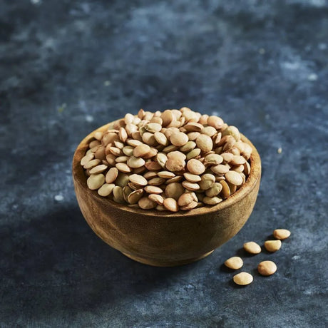 Large green lentil seeds for sprouting