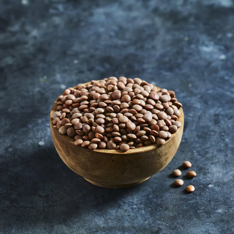 Persian large red lentil seeds