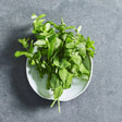 Lemon balm herb seeds
