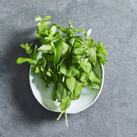 Lemon balm herb seeds