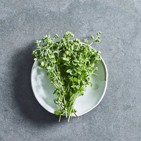 Marjoram herb seeds