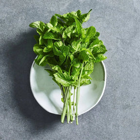 Mint herb seeds