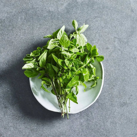 Oregano herb seeds