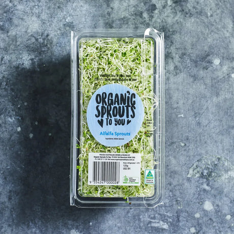 Fresh alfalfa sprouts packed and ready to use