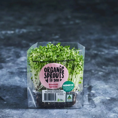 Fresh broccoli microgreens in a small retail tray