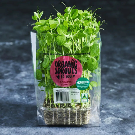 Fresh pea shoots ready to harvest