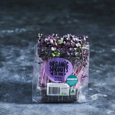 Fresh purple radish microgreens ready to harvest