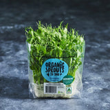 Fresh snow pea tendrils ready to harvest