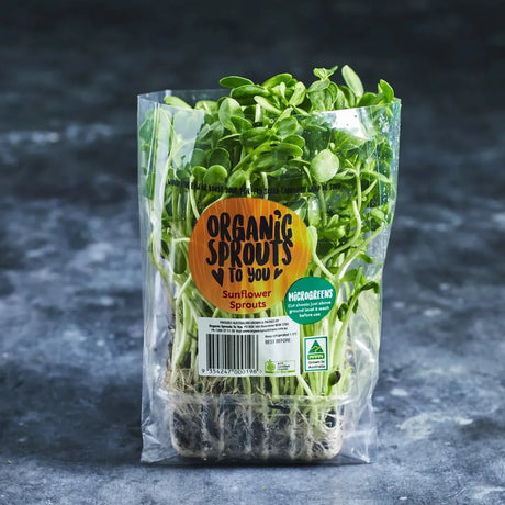 Fresh sunflower sprouts ready to harvest